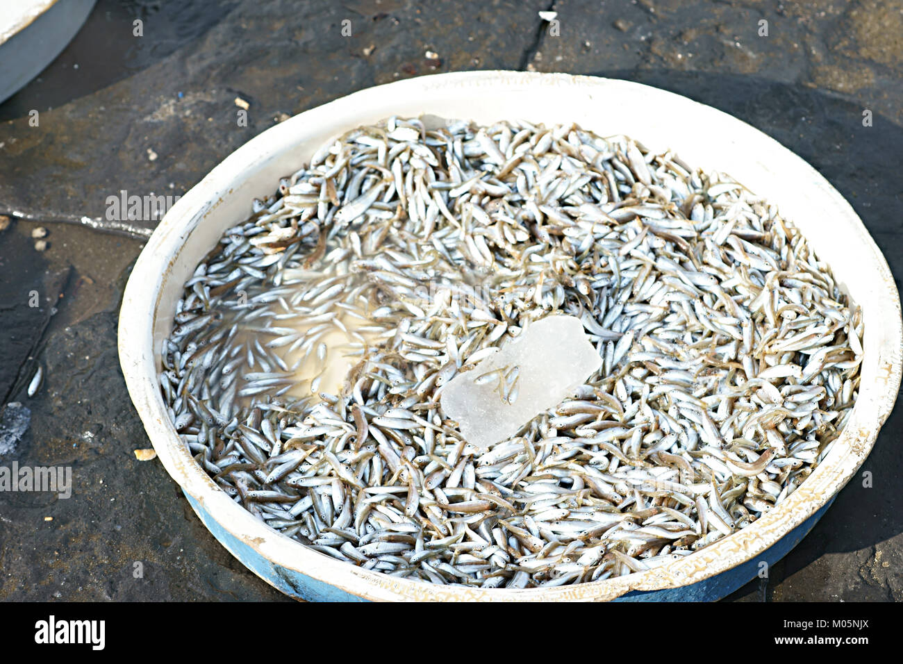 Cicinielli' : piccoli pesci in una scatola a Napoli, Italia - Mercato del  pesce Foto stock - Alamy