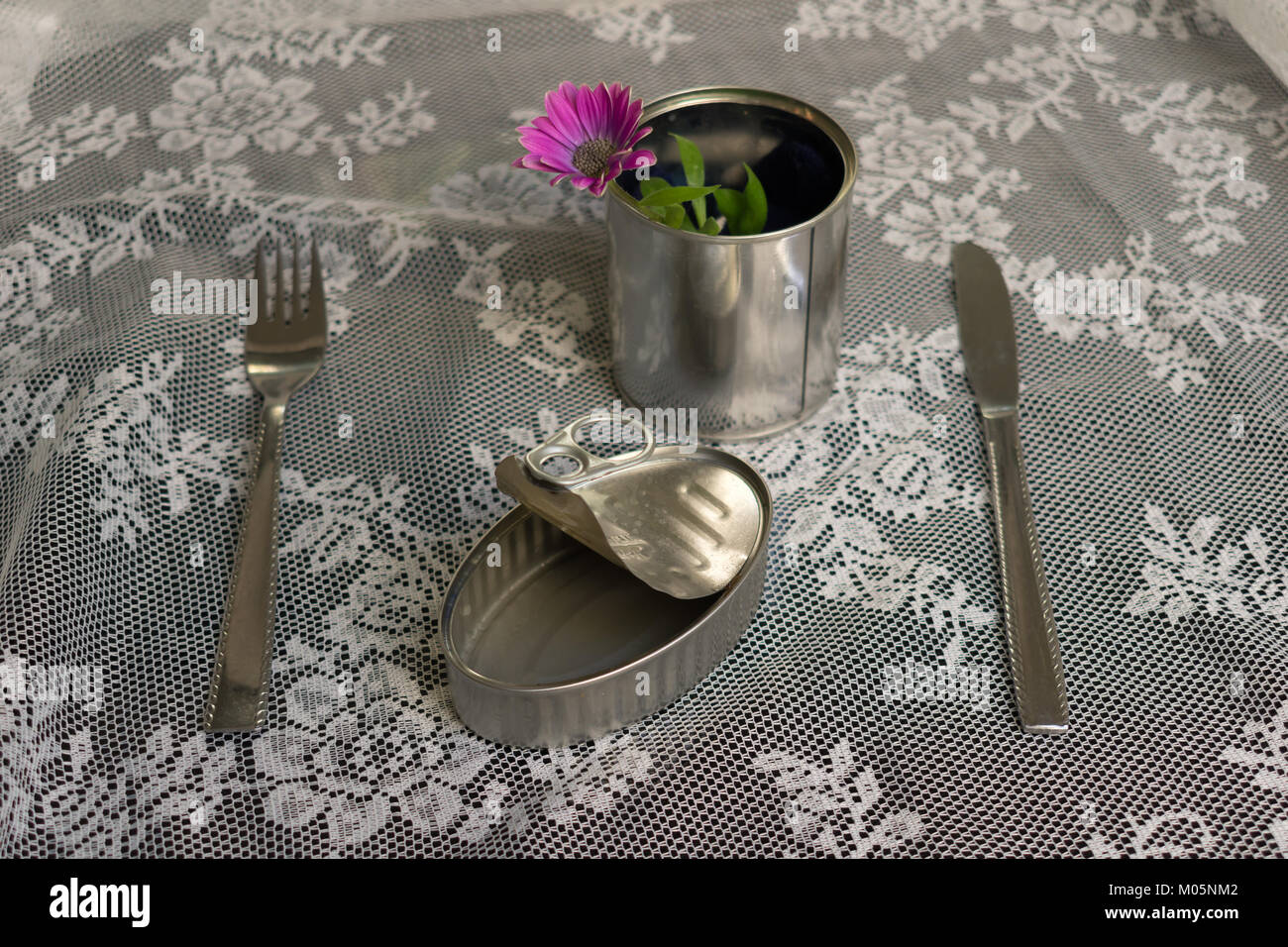 Svuotare la sardina lattina può con niente da mangiare insieme una forchetta e coltello e la pentola con un imporpori fiore e foglie verdi sul lato su sfondo bianco Foto Stock