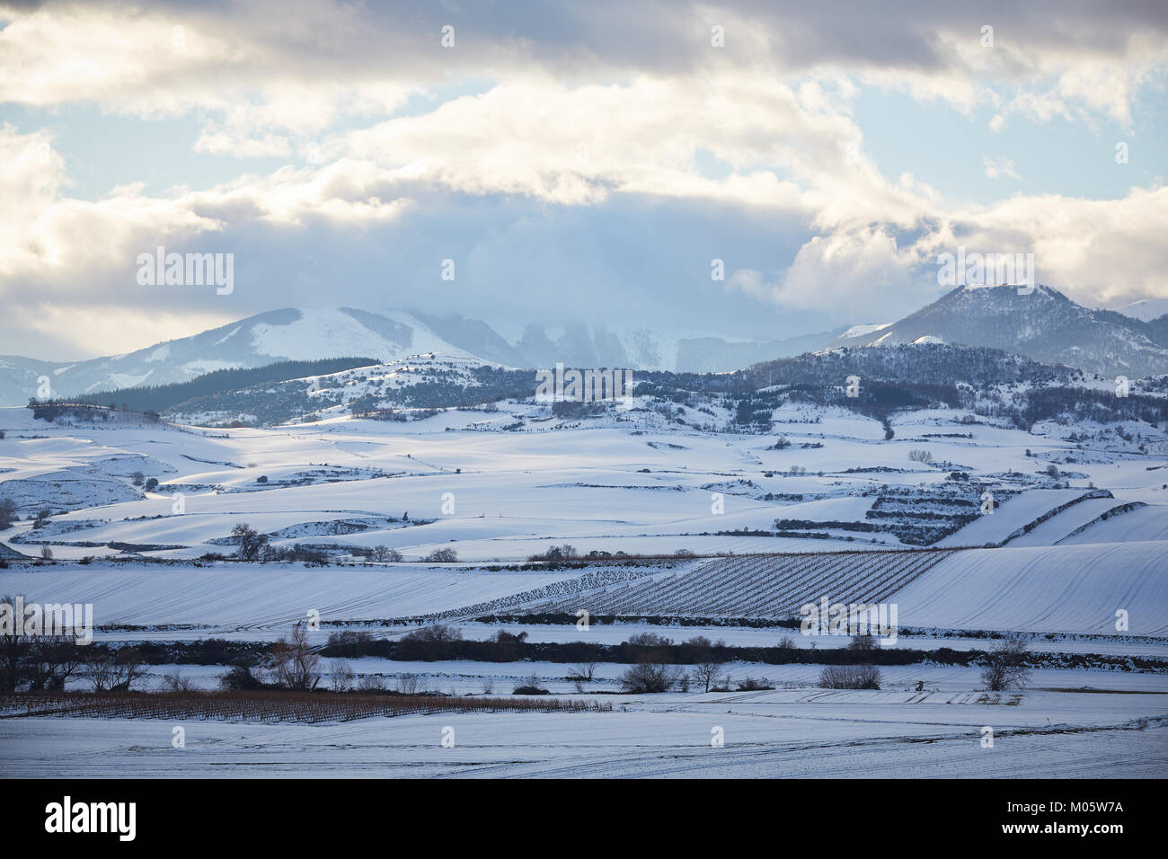 La Rioja, Spagna. 10/1/18 vigneti vicino Badarán, La Rioja, Spagna, dopo la nevicata. Il monte San Lorenzo, di La Rioja è la montagna più alta è in background. Foto Stock