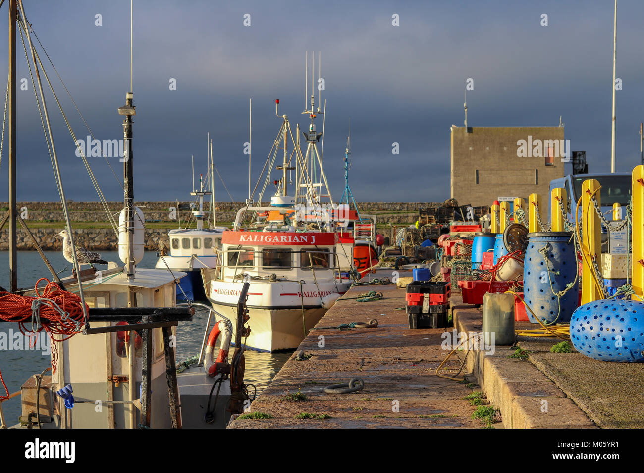 Barche da pesca al molo. Le questioni vengono sollevate a ciò che l'impatto di Brexit sarà sull'industria ittica irlandese. Foto Stock