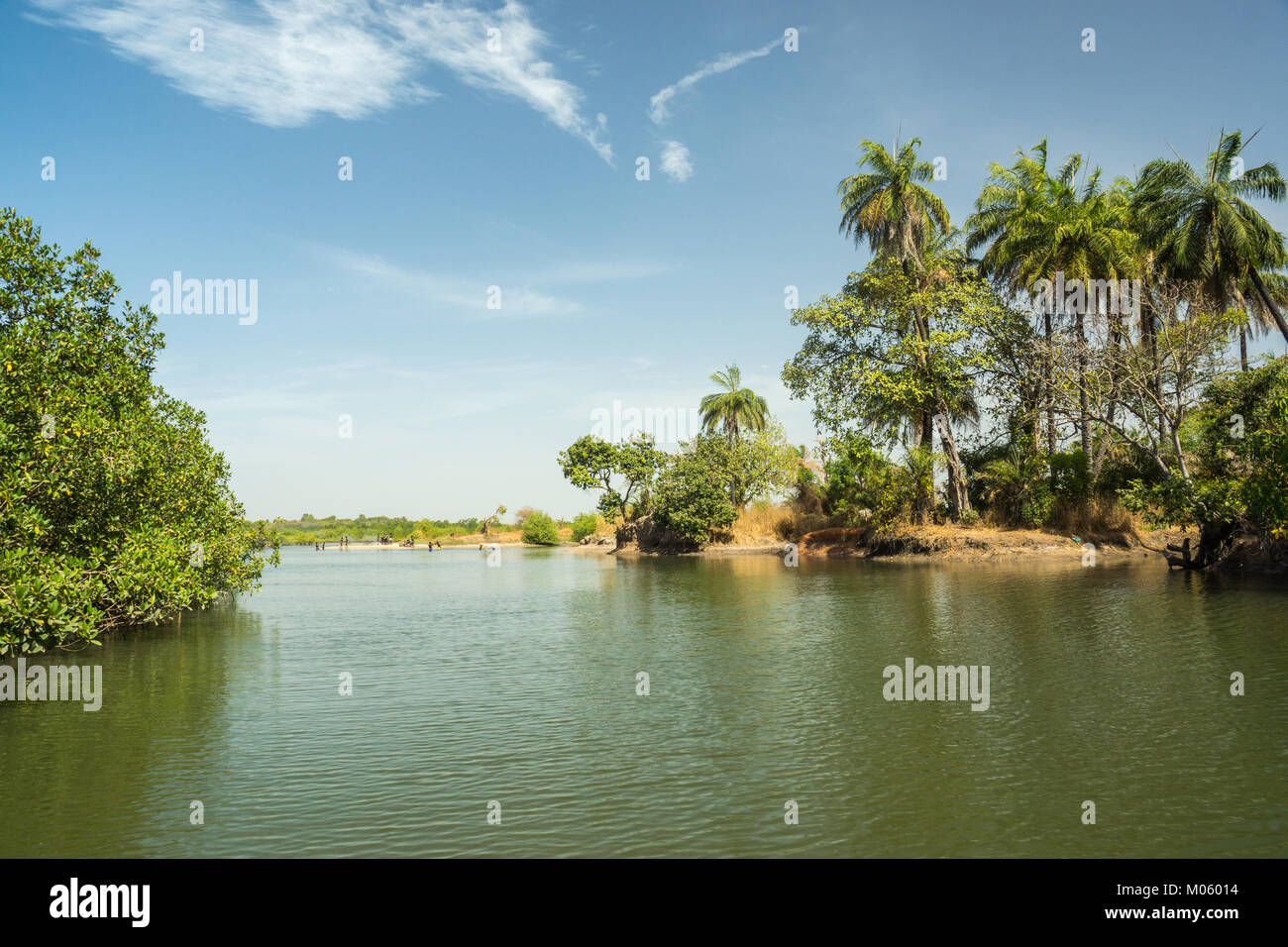 Un affluente del fiume Gambia in Gambia, Africa Foto Stock