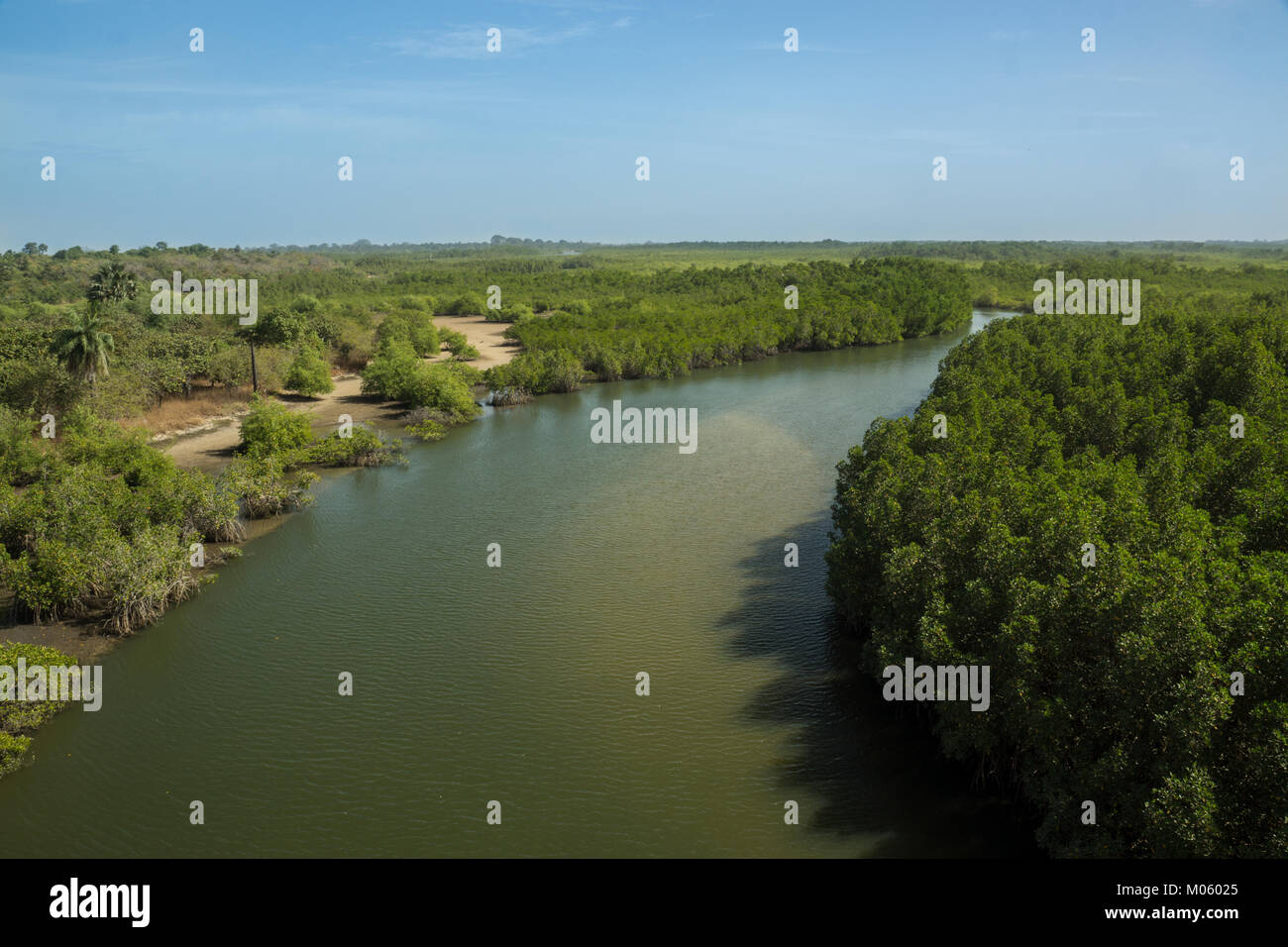 Un affluente del fiume Gambia in Gambia, Africa Foto Stock