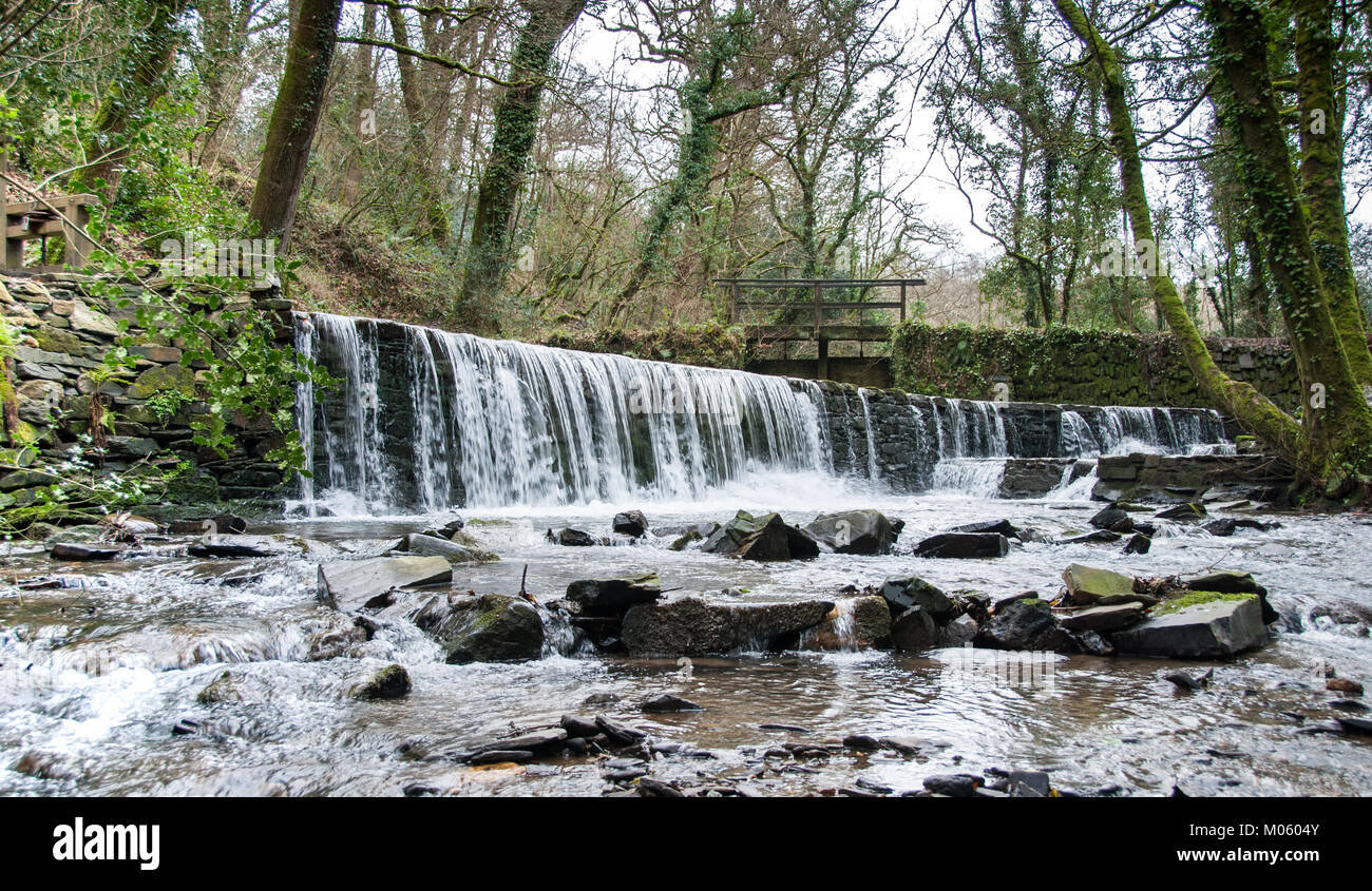 Il flusso di alimentazione del vecchio stewpond e weir a Cotehele in Cornovaglia scorre giù per il fiume Tamar Foto Stock