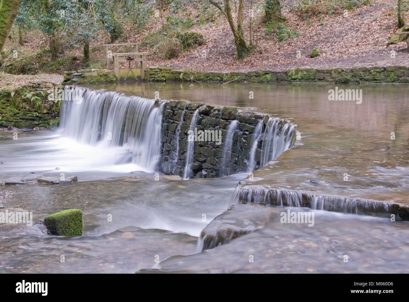 Il flusso di alimentazione del vecchio stewpond e weir a Cotehele in Cornovaglia scorre giù per il fiume Tamar Foto Stock