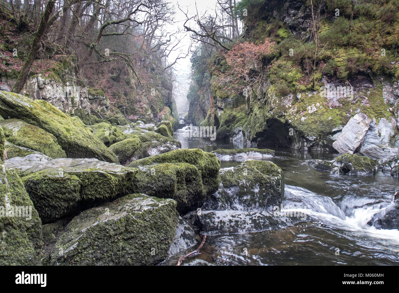 Fairy Glen è una spettacolare gola che conduce a una torsione serie di cascate e che il lettore RUSH tra pareti verticali e attraverso le rocce enormi Foto Stock