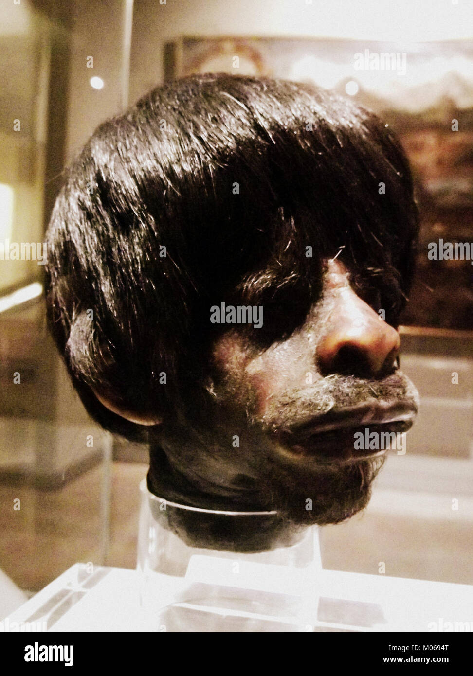 Illustrazione di copertina di Cabeza reducida Jibaro, raffigurante aspetti storici e antropologici dell'artefatto. Foto Stock