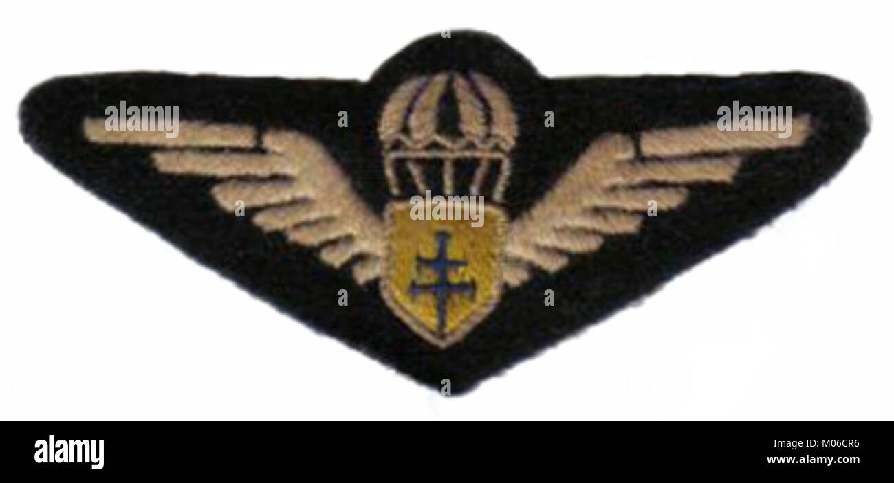 Il Brevet Parachutiste FFL è un'insegna militare della Legione straniera francese assegnata ai soldati che completano l'addestramento al paracadute, simboleggiando l'abilità aviotrasportata e il servizio d'élite. Foto Stock