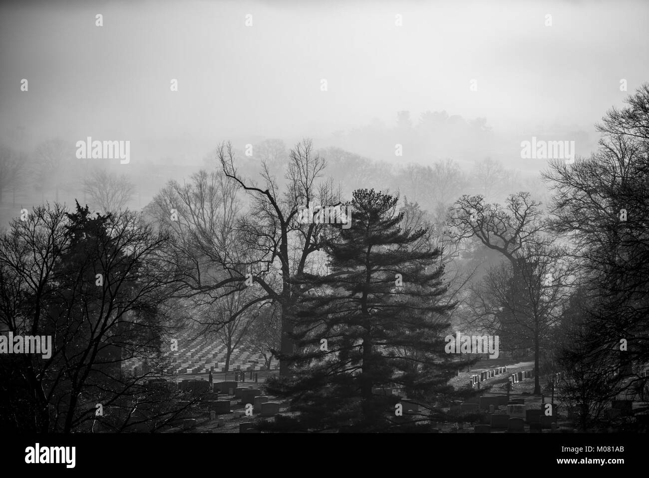 Congelamento rotoli di nebbia attraverso la sezione 2 di Al Cimitero Nazionale di Arlington, Arlington, Virginia, Gen 9, 2018. La regione nordest degli Stati Uniti erano state vivendo i record di basse temperature all'inizio del 2018 ma il 9 gennaio ha segnato l' inizio di un disgelo. (U.S. Esercito Foto Stock