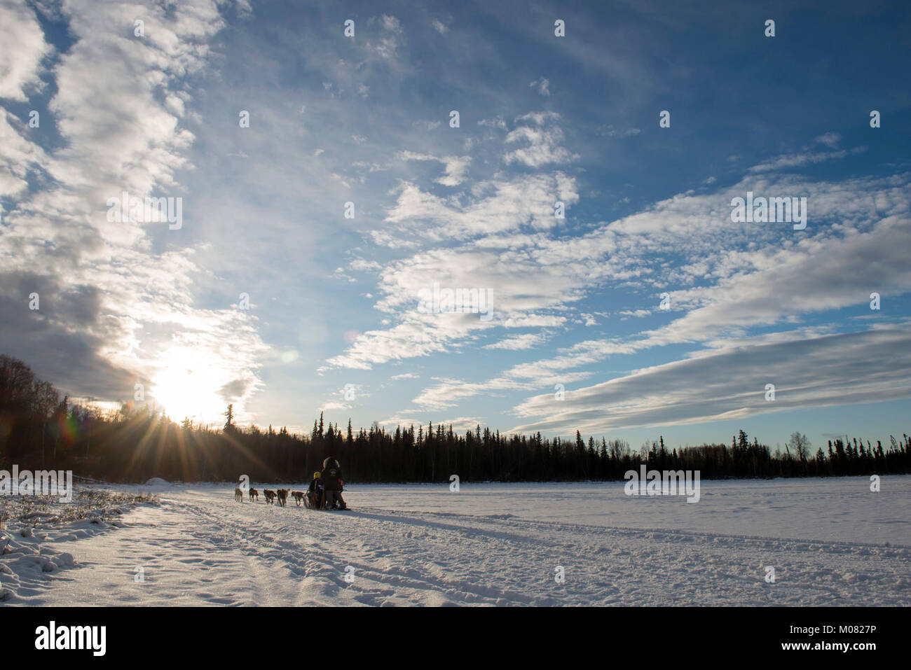 Uno Sled Dog team offre corse di Hillberg Ski Area visitatori a base comune Elmendorf-Richardson, Alaska, 14 gennaio 2018. Come parte della morale, il benessere e la ricreazione programma ospitato dal 673d forza squadrone di supporto e vita JBER Team, il Hillberg Ski Area offre quelli con accesso di base di una varietà di sport invernali e gli eventi. (U.S. Air Force Foto Stock