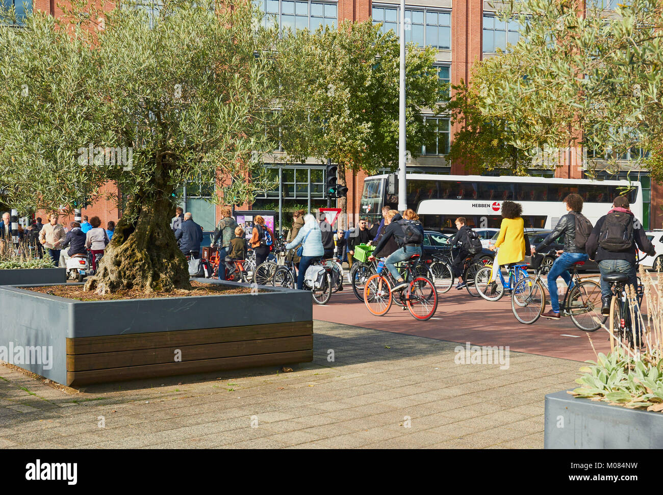 Molti ciclisti in Mr. Visserplein, Amsterdam, Paesi Bassi. Chiamato dopo Lodewijk Ernst Visser presidente della Corte suprema di cassazione dal 1939-40 Foto Stock