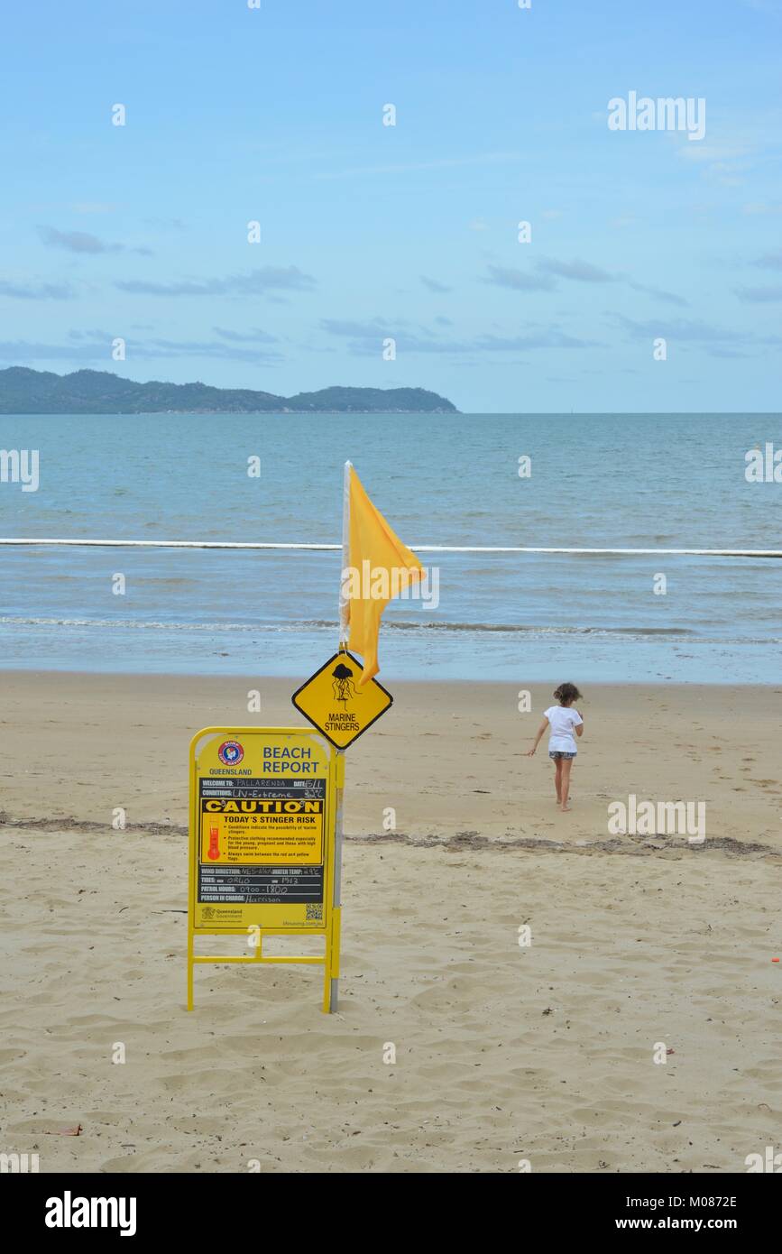 Navigare per salvare la vita di bandiere e di paddle board presso un stinger net, Pallarenda, Queensland, Australia Foto Stock