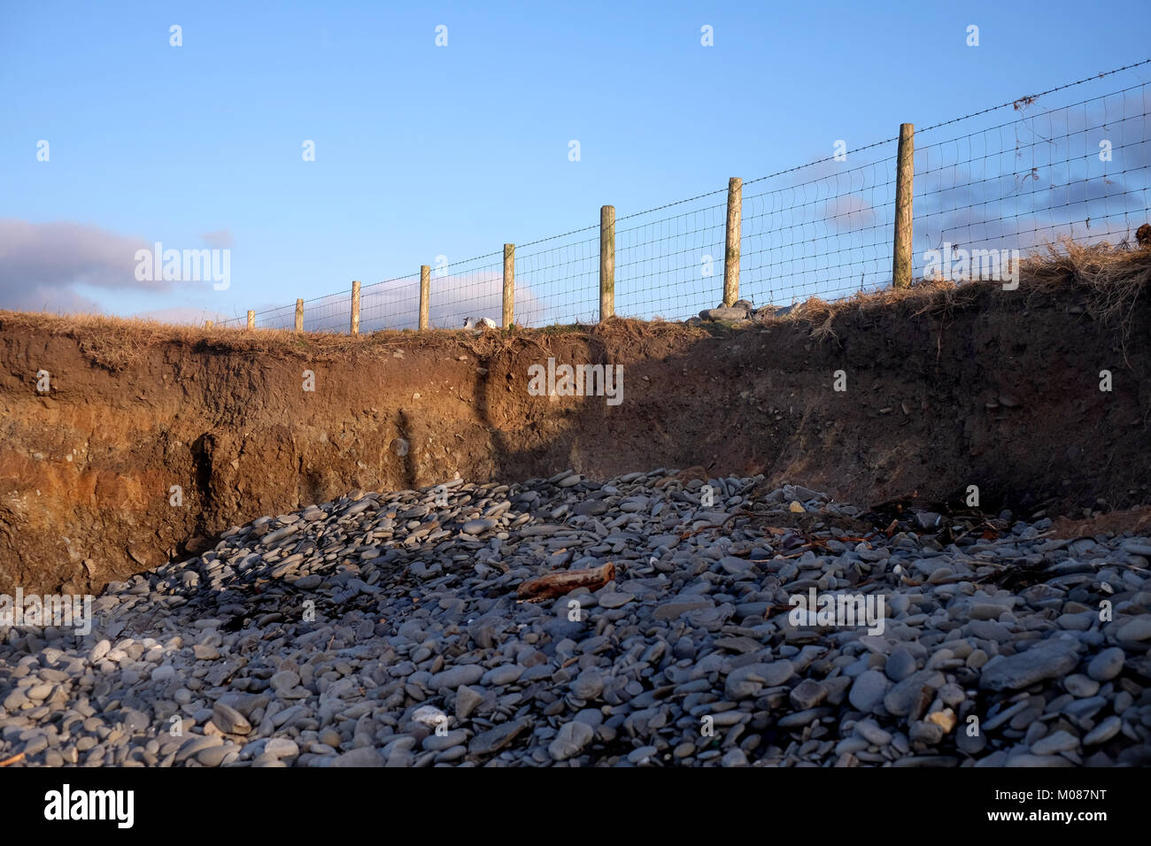 Erosione costiera sul Ceredigion costa di Cardigan Bay Foto Stock