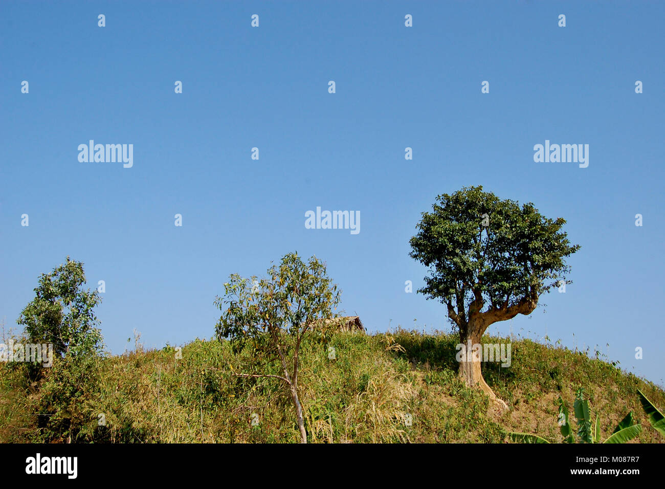 Una vista di Nilgiri Turismo posto in Bandarban, Bangladesh Foto Stock