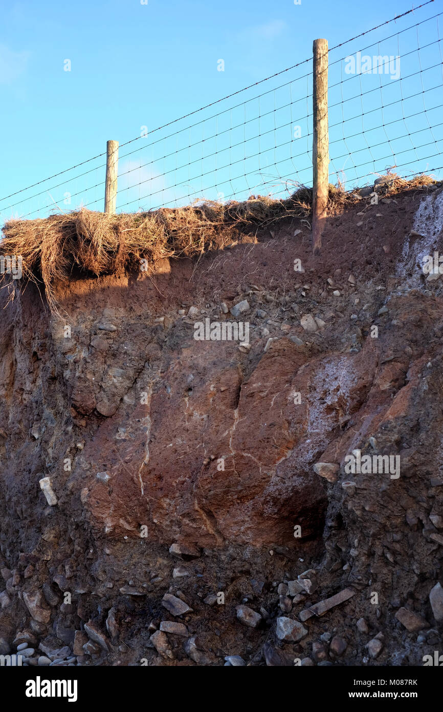 Erosione costiera sul Ceredigion costa di Cardigan Bay Foto Stock