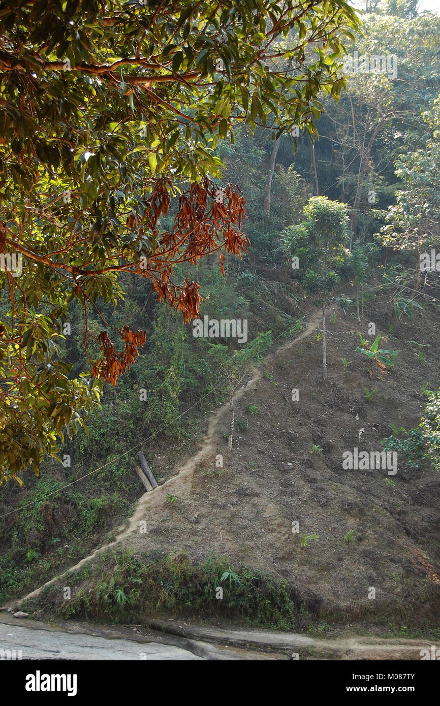 Una vista di Nilgiri Turismo posto in Bandarban, Bangladesh Foto Stock