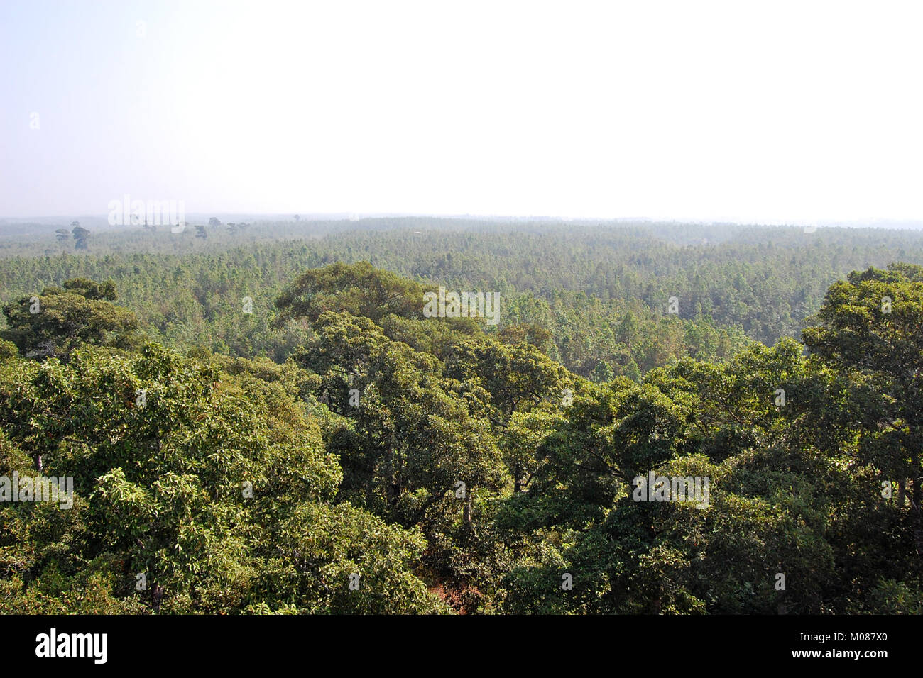 Una vista di Nilgiri Turismo posto in Bandarban, Bangladesh Foto Stock
