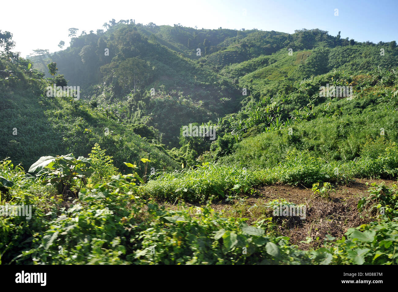 Una vista di Nilgiri Turismo posto in Bandarban, Bangladesh Foto Stock