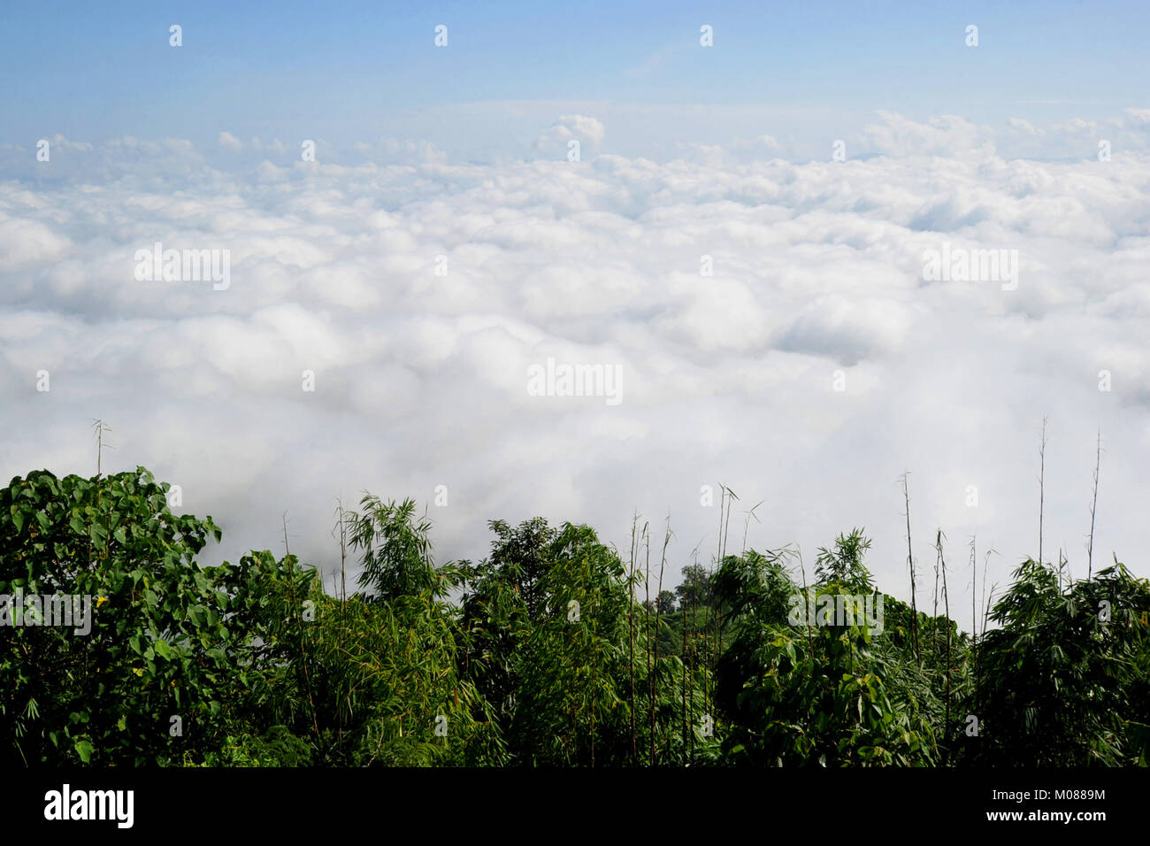 Una vista di Nilgiri Turismo posto in Bandarban, Bangladesh Foto Stock