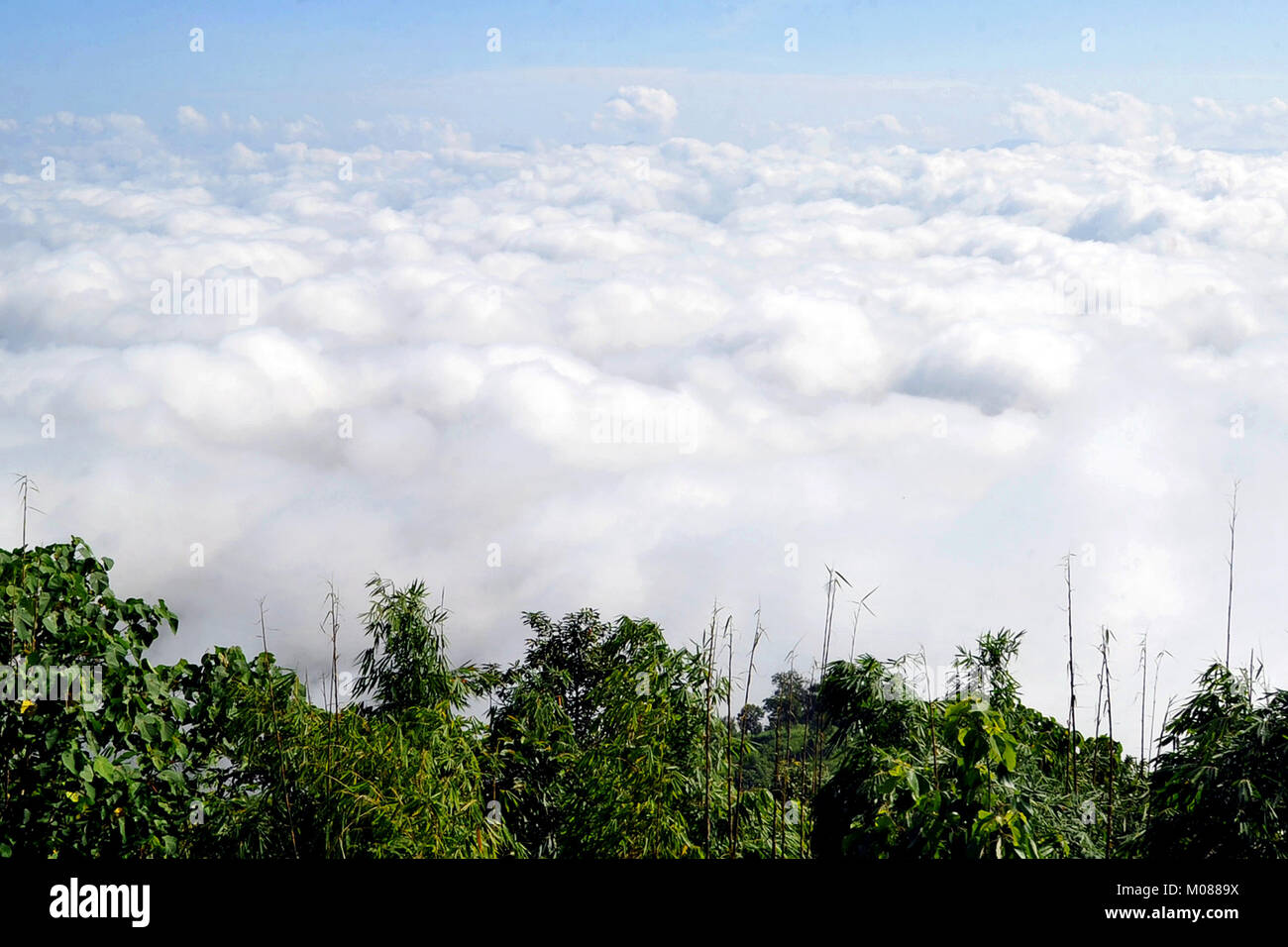 Una vista di Nilgiri Turismo posto in Bandarban, Bangladesh Foto Stock