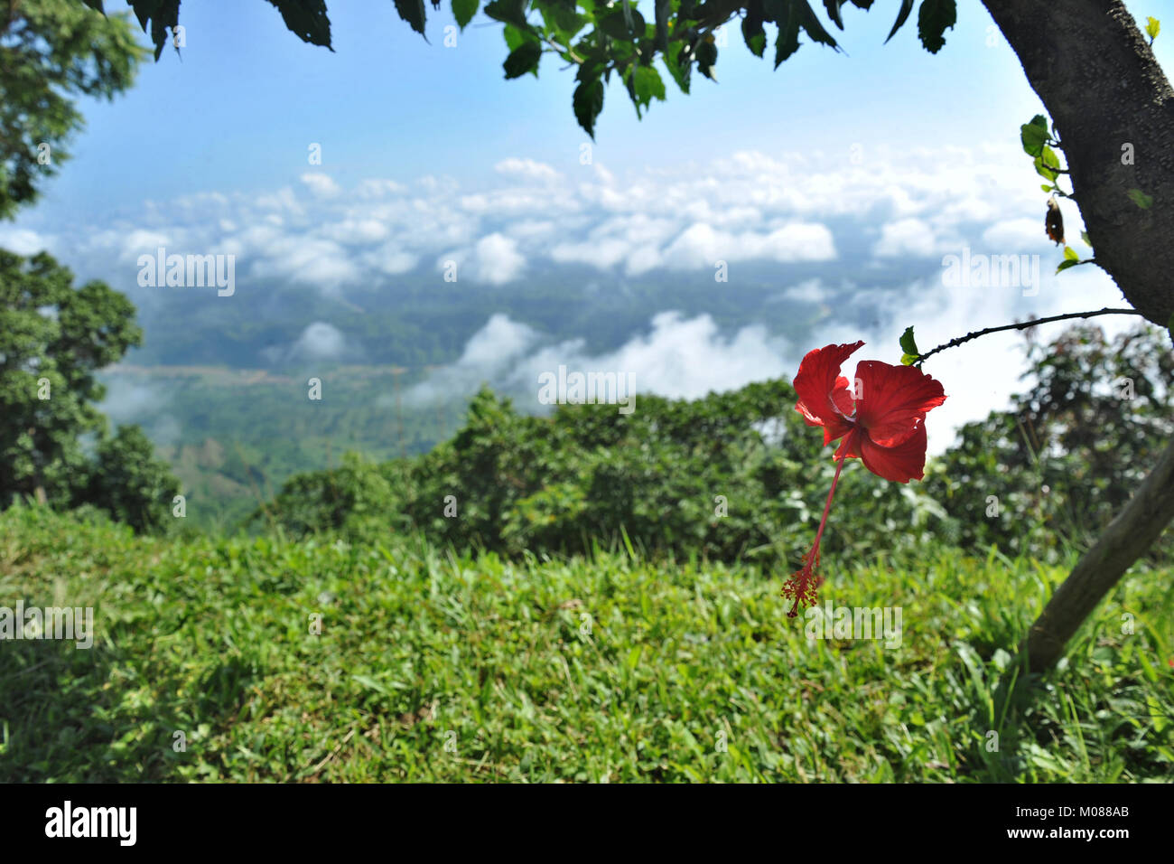 Una vista di Nilgiri Turismo posto in Bandarban, Bangladesh Foto Stock