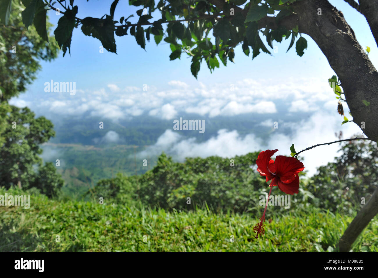 Una vista di Nilgiri Turismo posto in Bandarban, Bangladesh Foto Stock