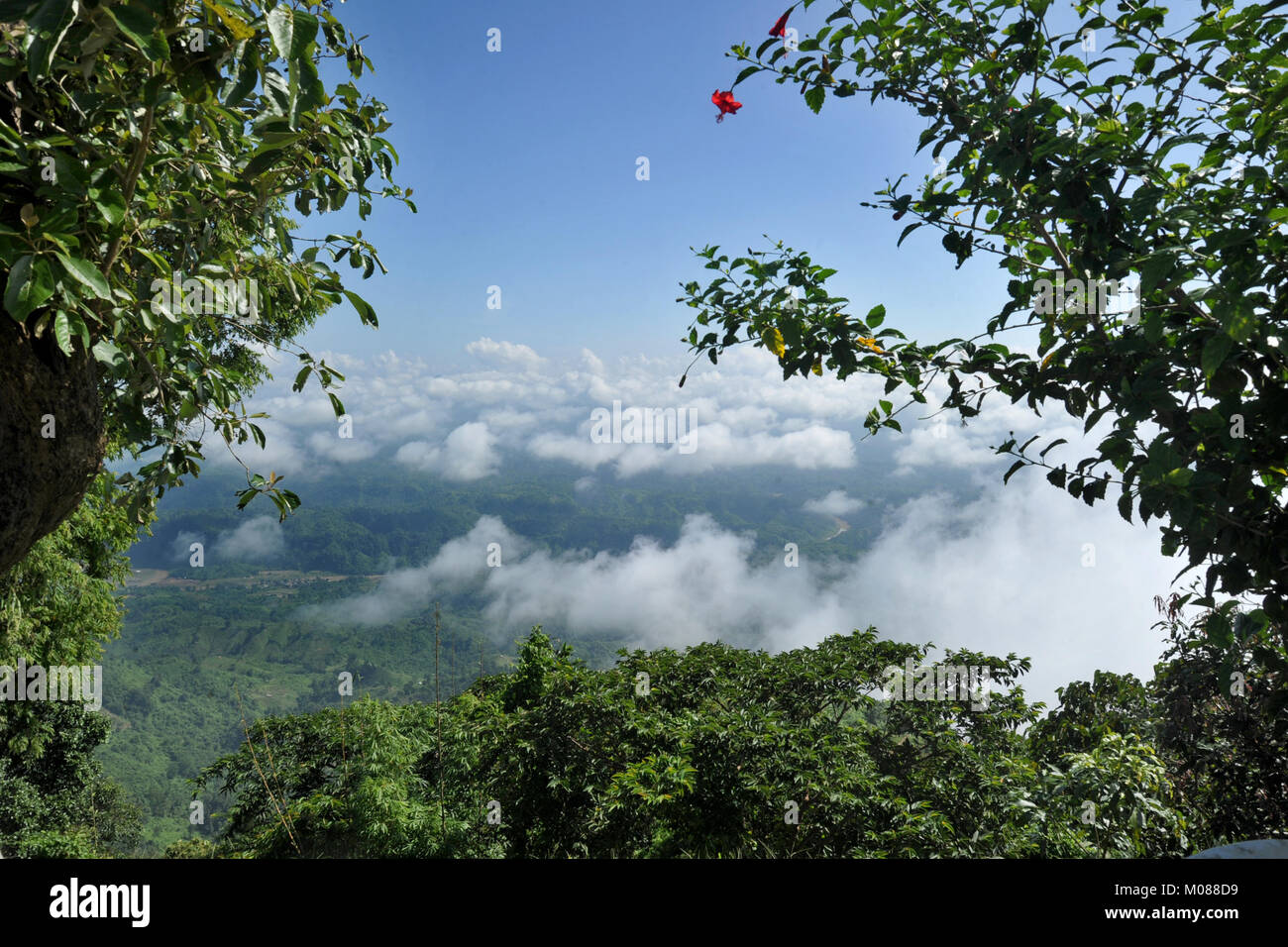 Una vista di Nilgiri Turismo posto in Bandarban, Bangladesh Foto Stock