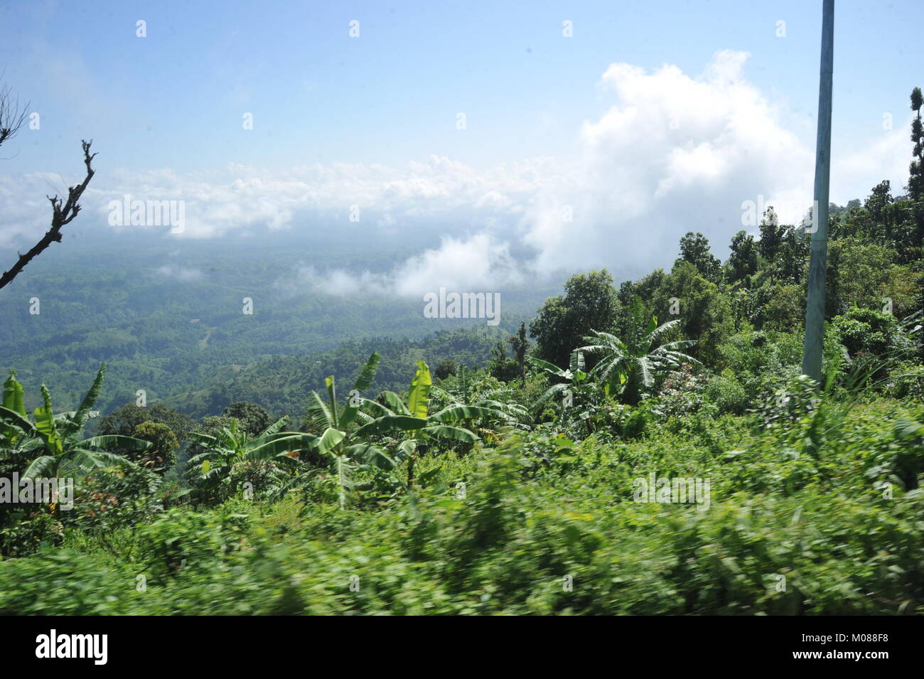 Una vista di Nilgiri Turismo posto in Bandarban, Bangladesh Foto Stock