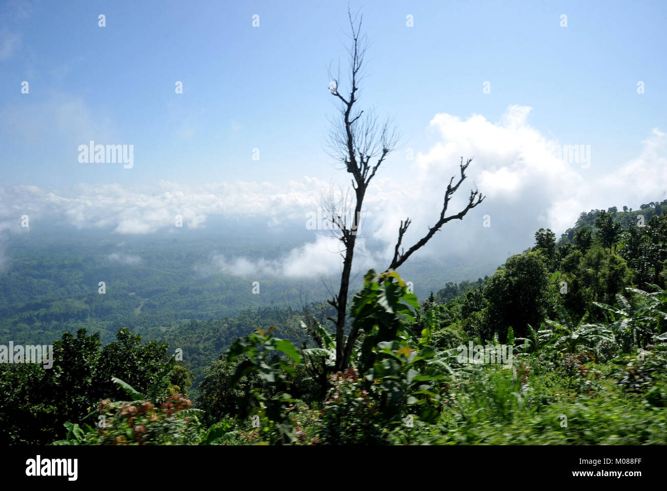 Una vista di Nilgiri Turismo posto in Bandarban, Bangladesh Foto Stock
