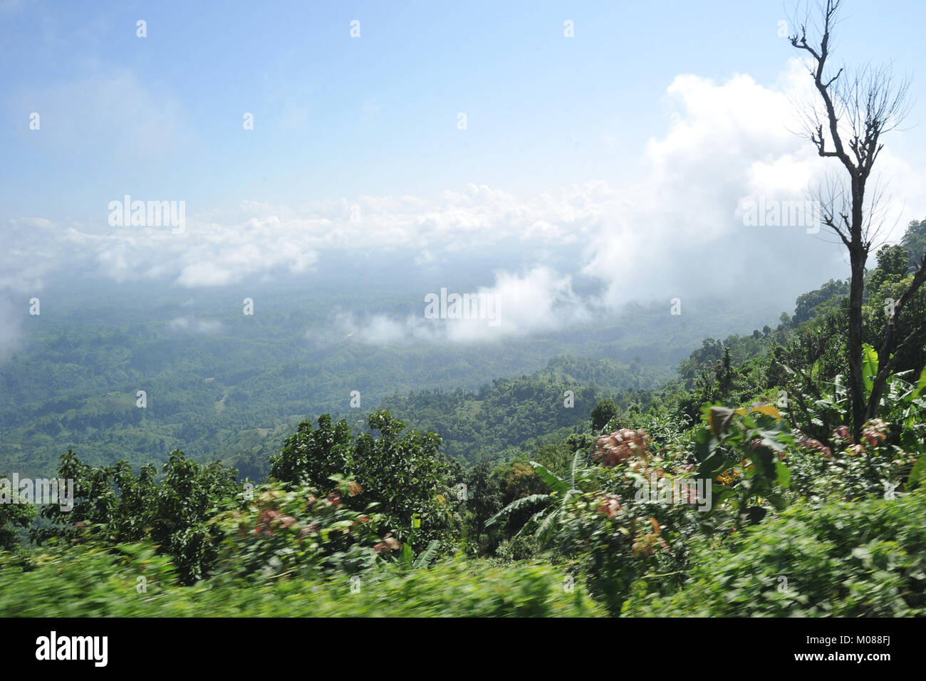 Una vista di Nilgiri Turismo posto in Bandarban, Bangladesh Foto Stock