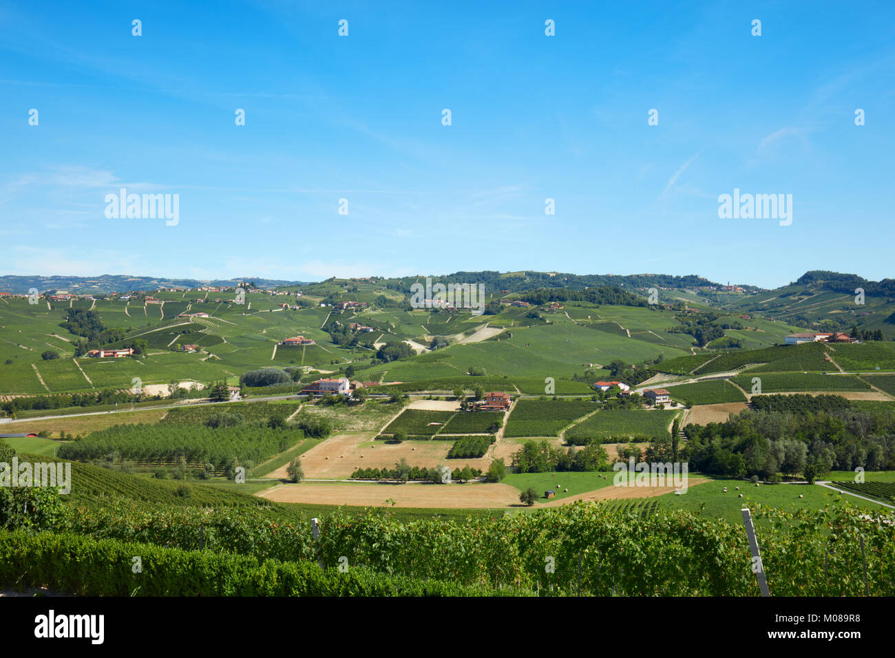 Verde della campagna con vigneti e campi, colline delle Langhe in Piemonte, Italia Foto Stock