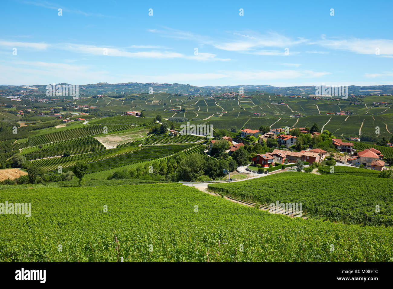 Verde di vigneti, Piemonte paesaggio in una giornata di sole e cielo blu Foto Stock