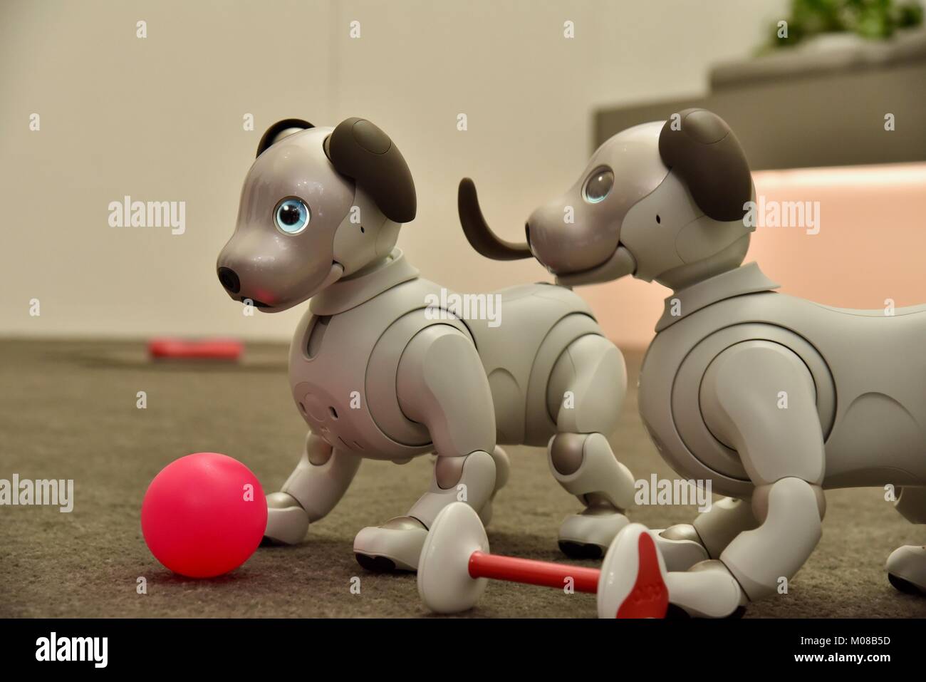 Sony nuovo e grazioso, adorabile e costosi cane robot AIBO ha presentato al  CES 2018 di Las Vegas, STATI UNITI D'AMERICA Foto stock - Alamy