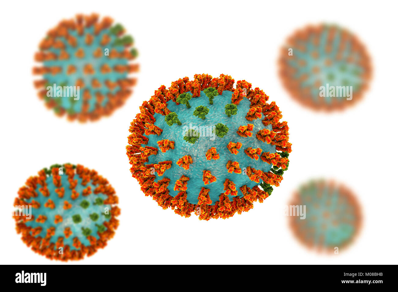 Virus influenzali di ceppo H3N2. 3D illustrazione che mostra la superficie dei picchi di glicoproteina emoagglutinina (arancione) e neuraminidasi (verde) su un influenza (flu) particella di virus. Con emoagglutinina svolge un ruolo in attacco del virus respiratorio umano cellule. Neuraminidasi gioca un ruolo nel rilascio di nuova formazione di particelle di virus da una cellula infettata. H3N2 virus sono in grado di infettare gli uccelli e i mammiferi così come gli esseri umani. Essi sono spesso causa di più gravi infezioni nei giovani e anziani rispetto ad altri ceppi influenzali e può portare ad aumenti di ricoveri e decessi. Foto Stock