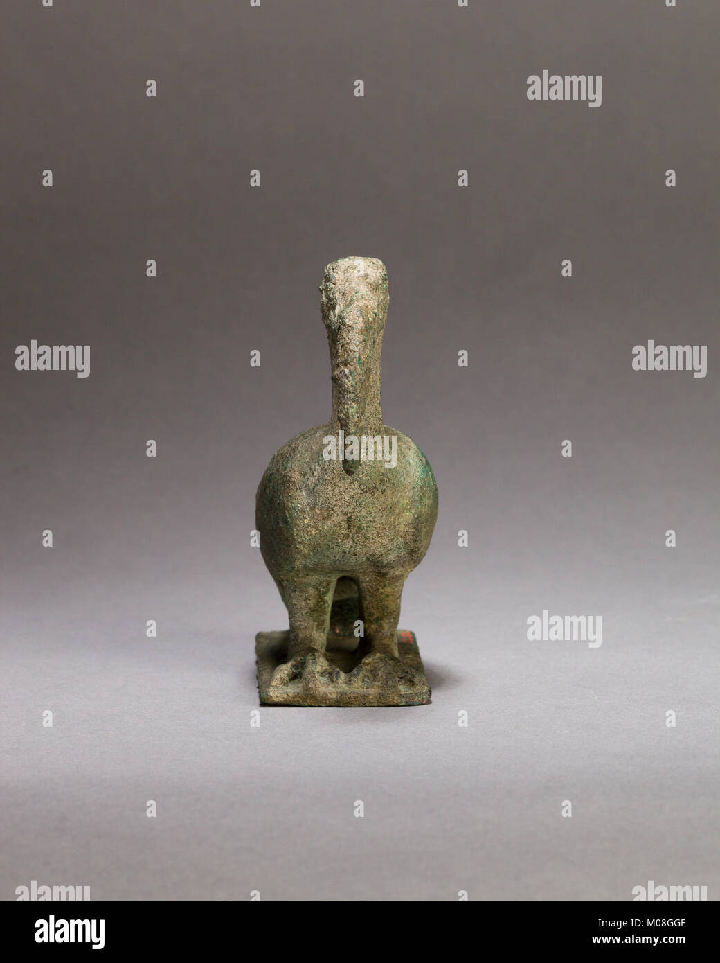 L'ibis è una specie di uccelli con un becco lungo e curvo e un corpo sottile, che abita zone umide e costiere, si nutre di invertebrati e ha un significato simbolico nelle culture antiche, in particolare in Egitto. Foto Stock