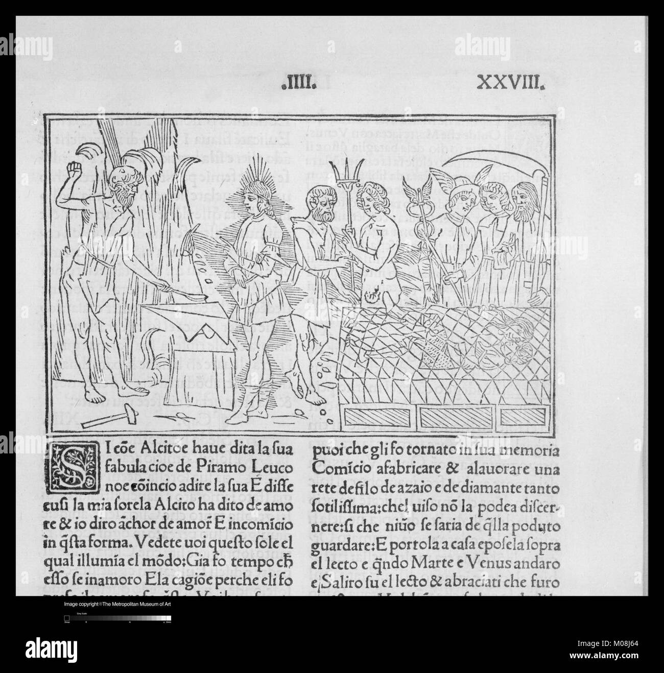 Questa illustrazione botanica, Methamorphoseos vulgare, raffigura le fasi di crescita e trasformazione delle piante, riflettendo lo studio scientifico della storia naturale del XVII secolo. Foto Stock