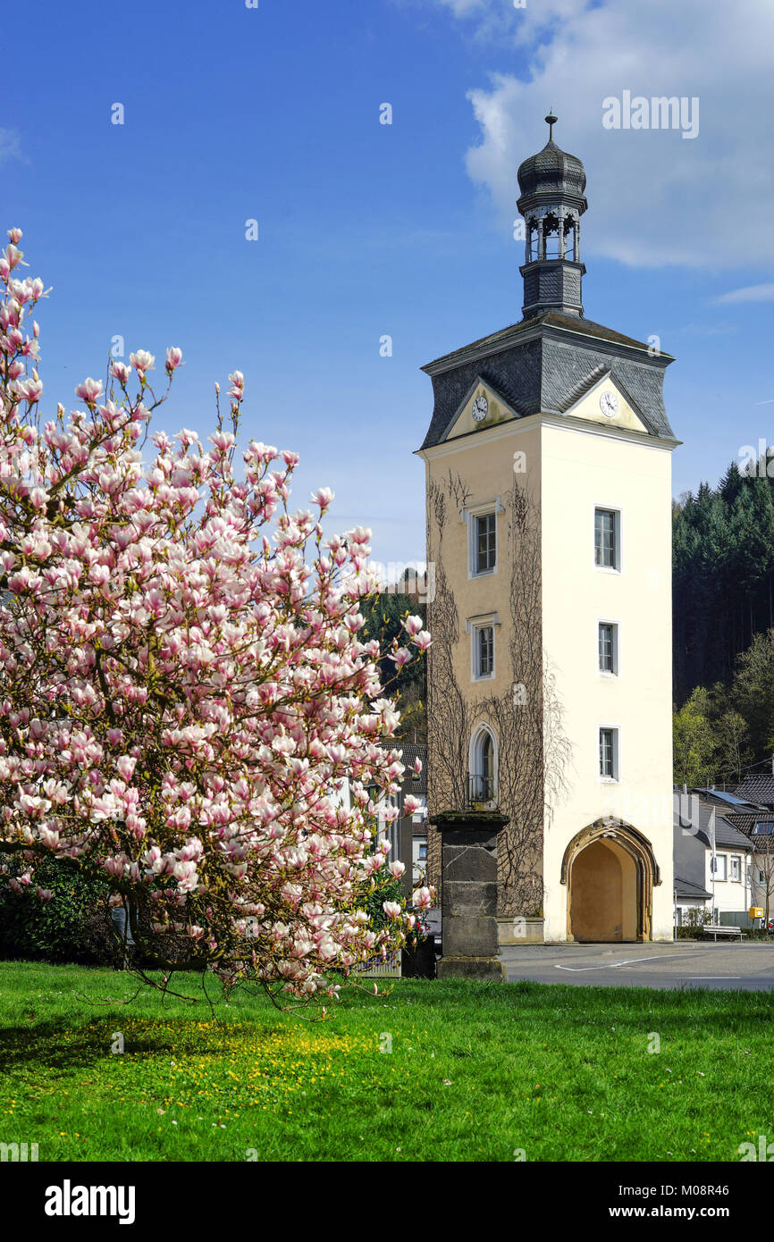 Molla con albero di magnolia in piena fioritura e una casa padronale. Germania. Città Seyn Foto Stock