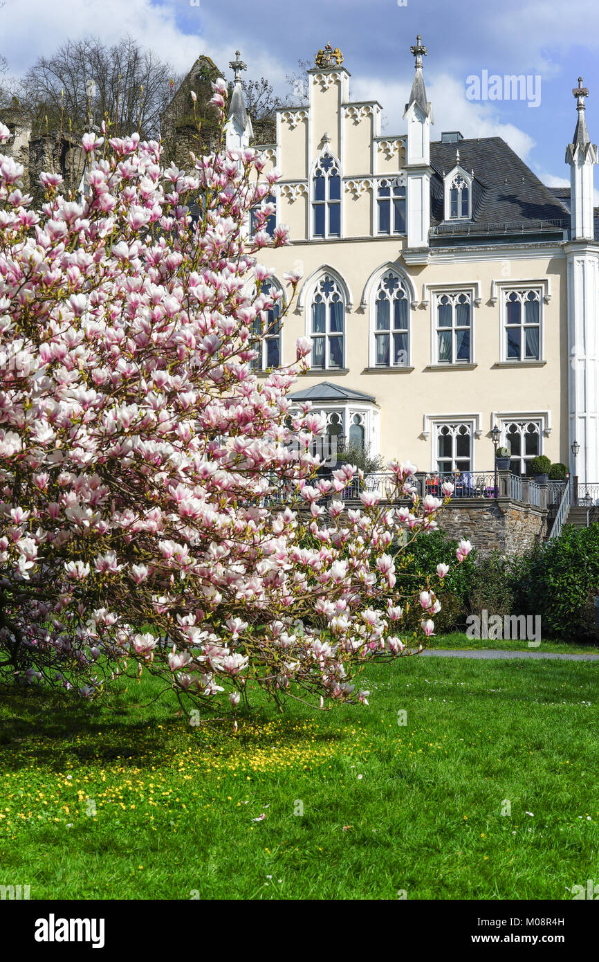 Molla con albero di magnolia in piena fioritura e una casa padronale. Germania. Città Seyn Foto Stock Molla con albero di magnolia in piena fioritura e una casa padronale. Germania. Città Seyn Foto Stock