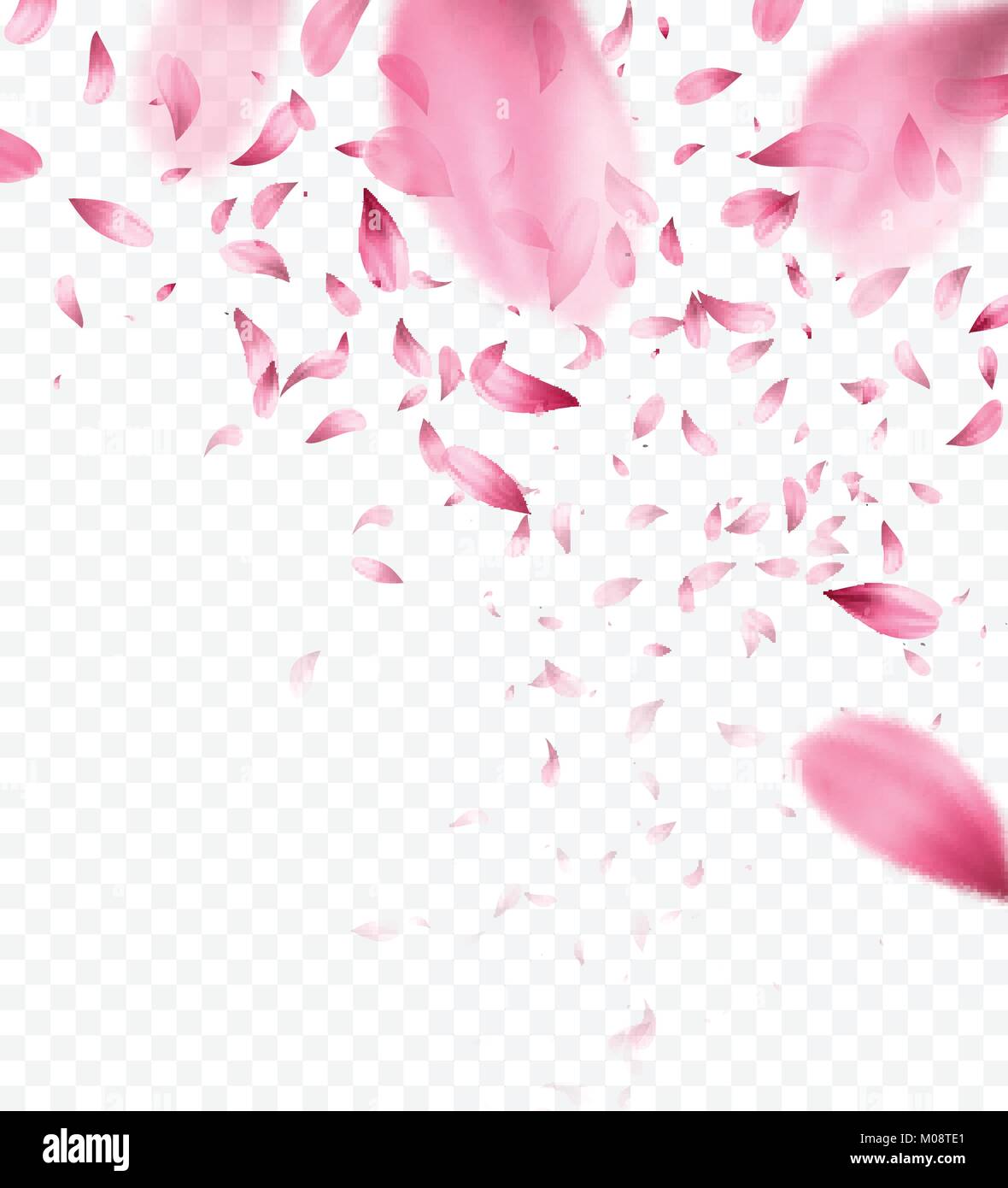 Rosa sakura petali di caduta dello sfondo. Illustrazione Vettoriale Illustrazione Vettoriale