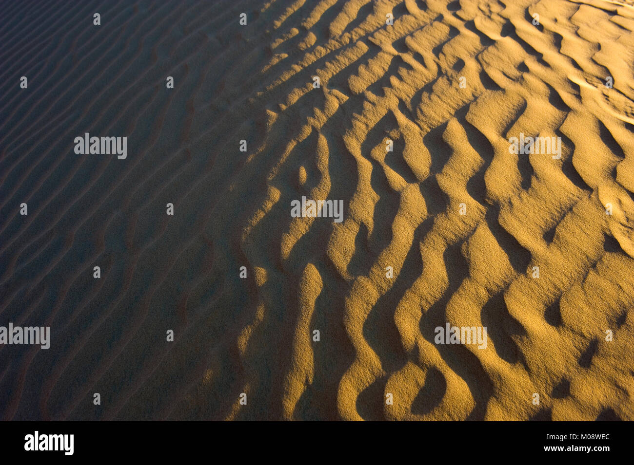 Fluttuazioni nella sabbia nel deserto negli Emirati Arabi Uniti. Foto Stock