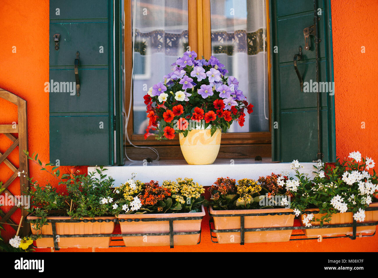 Impianto pot con rosso e viola i fiori sul davanzale di una casa arancione in Burano Venezia Italia. Foto Stock