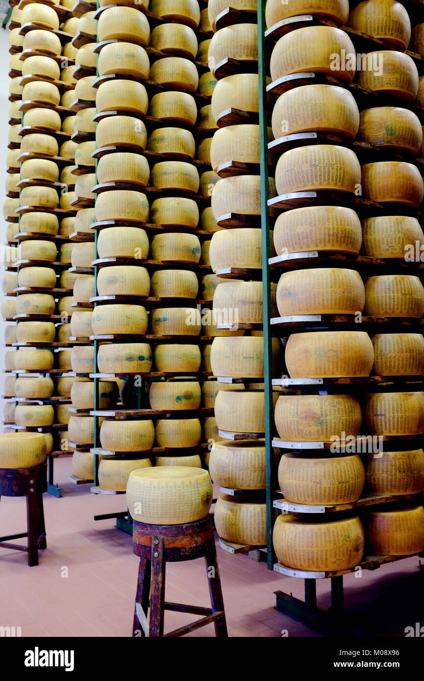 Parmigiano fresco impilati per stoccaggio ed essiccazione in un magazzino  di una fabbrica di formaggio in Parma, Italia Foto stock - Alamy