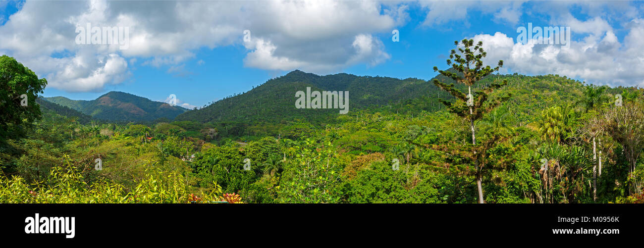 Vista panoramica del paesaggio tropicale in Soroa, Cuba Foto Stock