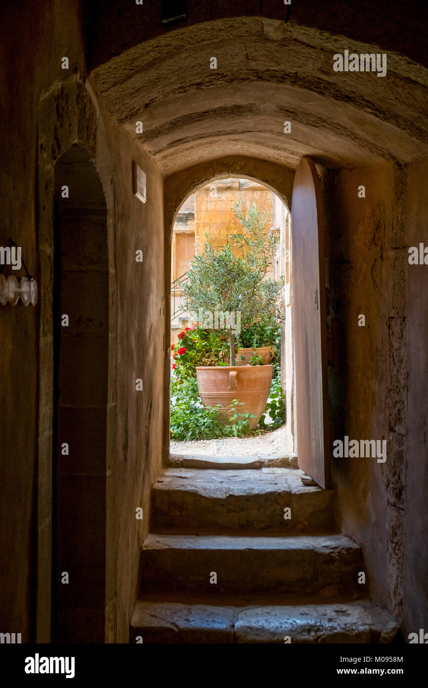 Scala con impianto di oliva, monastica della Chiesa Ortodossa Greca a due navate chiesa, il Monumento Nazionale di Creta nella lotta per l indipendenza, Moni Arkadi Mo Foto Stock