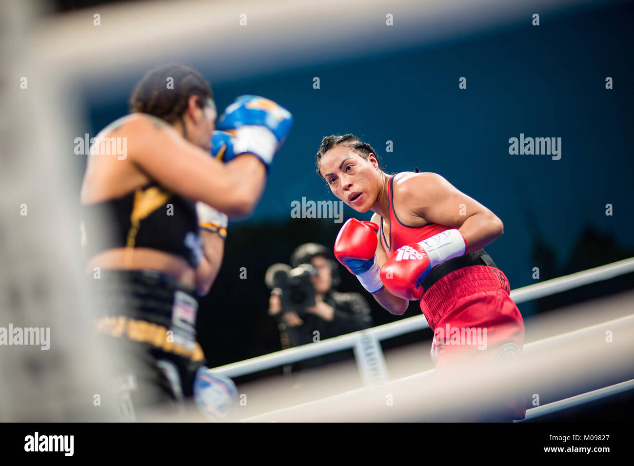 Norvegia, Bergen - Giugno 09, 2017. La norvegese i boxer professionale Cecilia Braekhus (in rosso) e l'Argentina Erica Farias (in nero) si incontrano nel combattere la battaglia di Bergen a Bergen. (Photo credit: Gonzales foto - Jarle H. Moe). Foto Stock