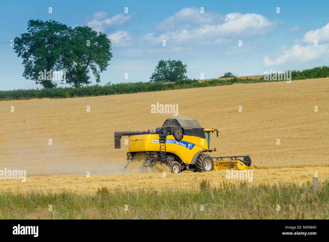 Trebbiatrici mietitrebbia Foto Stock