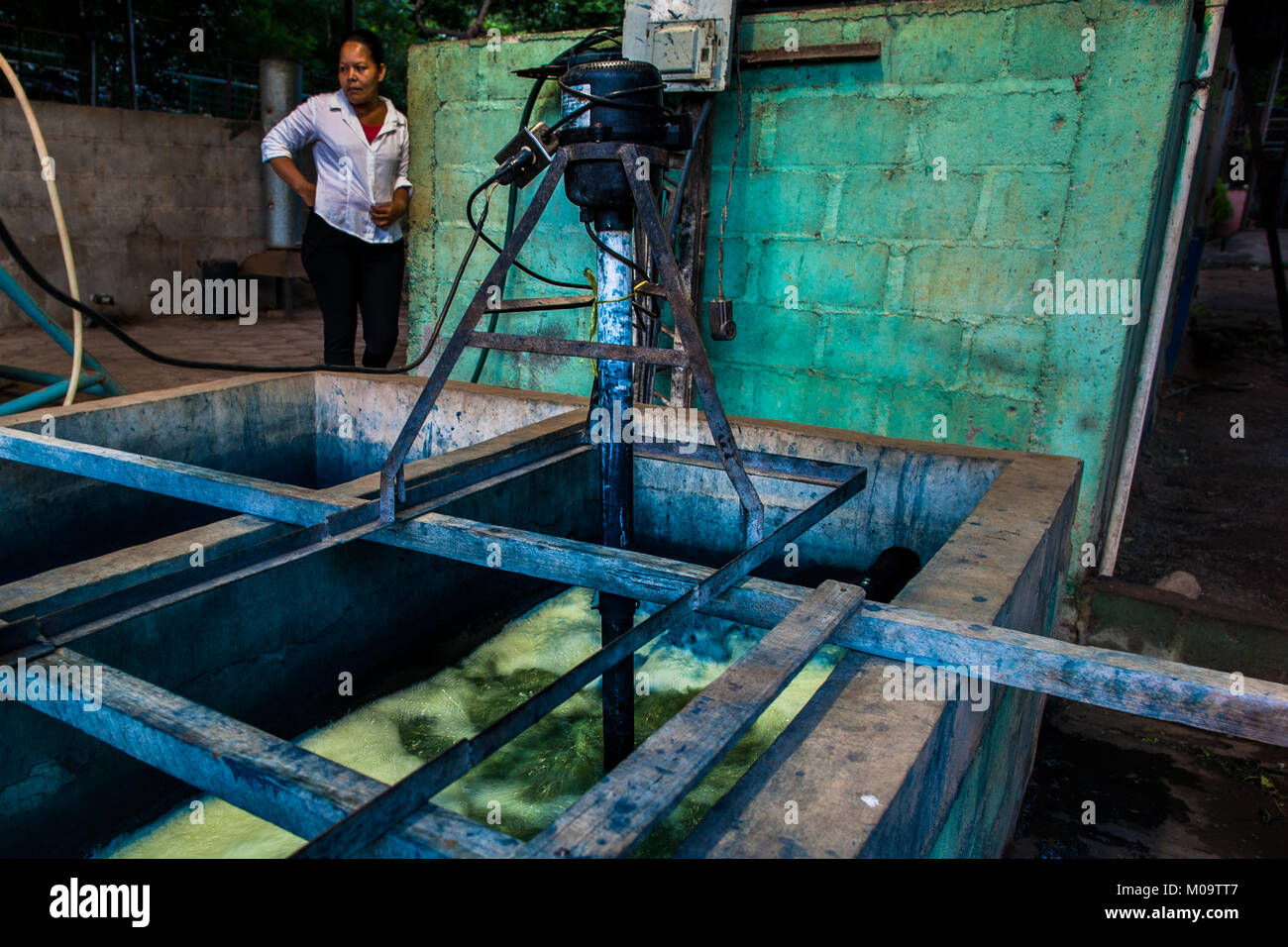 La soluzione in acqua contenente i precursori di indaco, viene agitata in una cisterna di cemento a fabbricazione vicino a San Miguel, El Salvador. Foto Stock