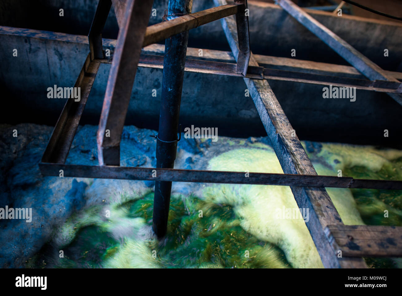 La soluzione in acqua contenente i precursori di indaco, viene agitata in una cisterna di cemento a fabbricazione vicino a San Miguel, El Salvador. Foto Stock