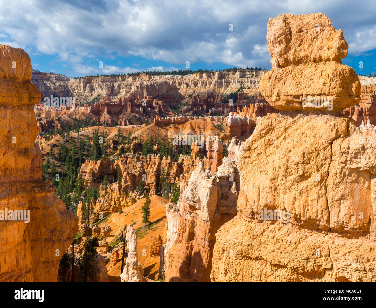 Hoodoo formazioni rocciose a Bryce Canyon National Park nello Utah (USA). Foto Stock