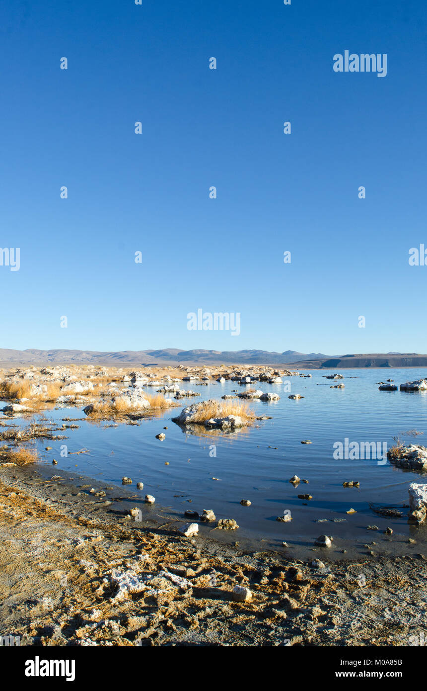 Waters Edge durante l'inverno il sole al lago Mono, California Foto Stock