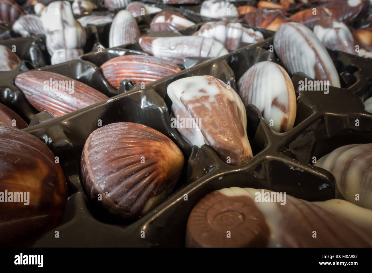 Guylian Belgio Tartufo al cioccolato gusci nel loro imballaggio. Foto Stock